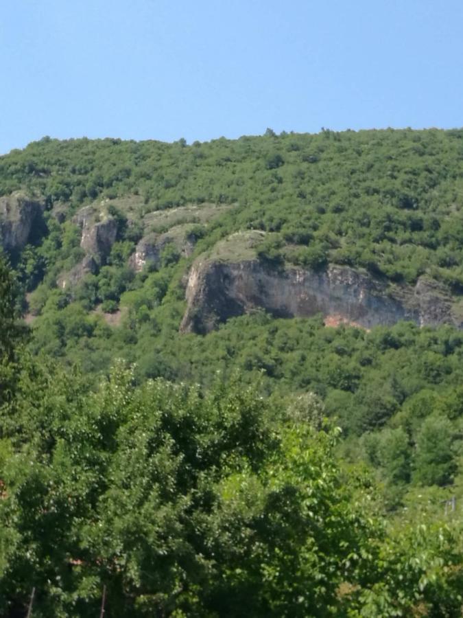 Самостоятелни Стаи В Къща За Гости Балкан Ribarica Esterno foto